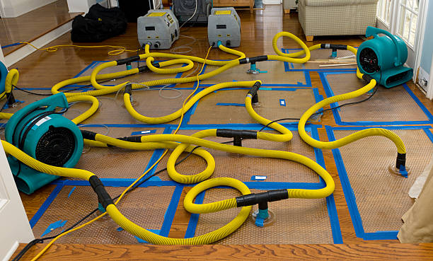 Professional Sewage Cleanup technician working in Cache Junction, UT